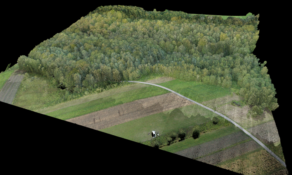 Obtaining of Digital Terrain Model for wooded areas